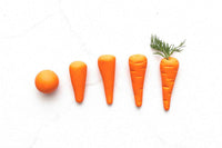 Carrot Cake Roulade Refill Pack by Crumble Crate